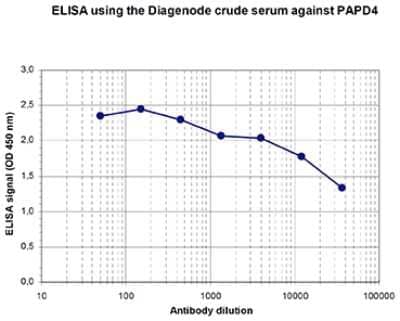ELISA: PAPD4 Antibody [NBP3-18647]